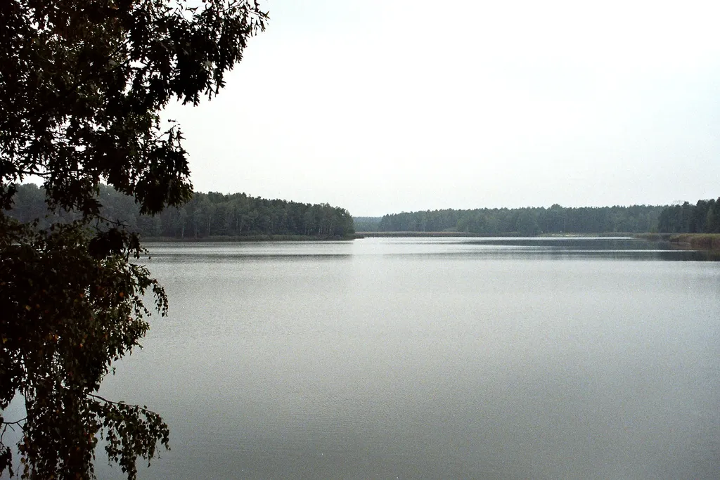 Der Braunsteich in Weißwasser